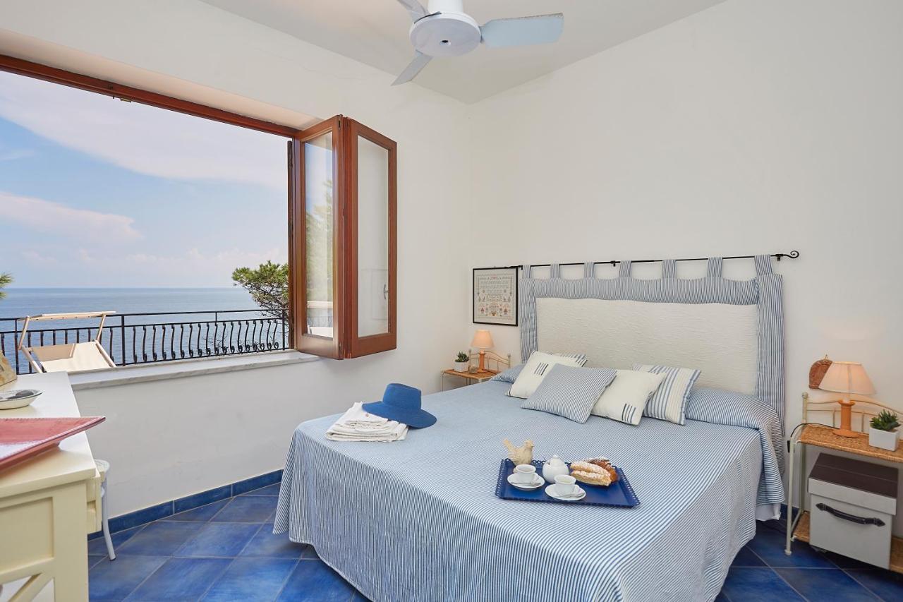 Villa Majus 波提切洛 外观 照片